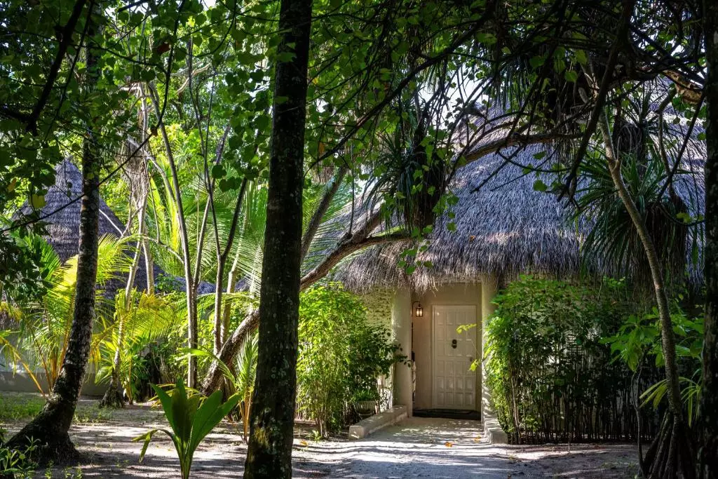 کلبه های جنگلی هتل نیکا مالدیو